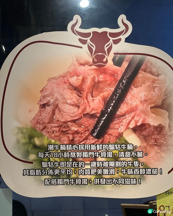 灣仔足料牛腩麵😋🥩✨