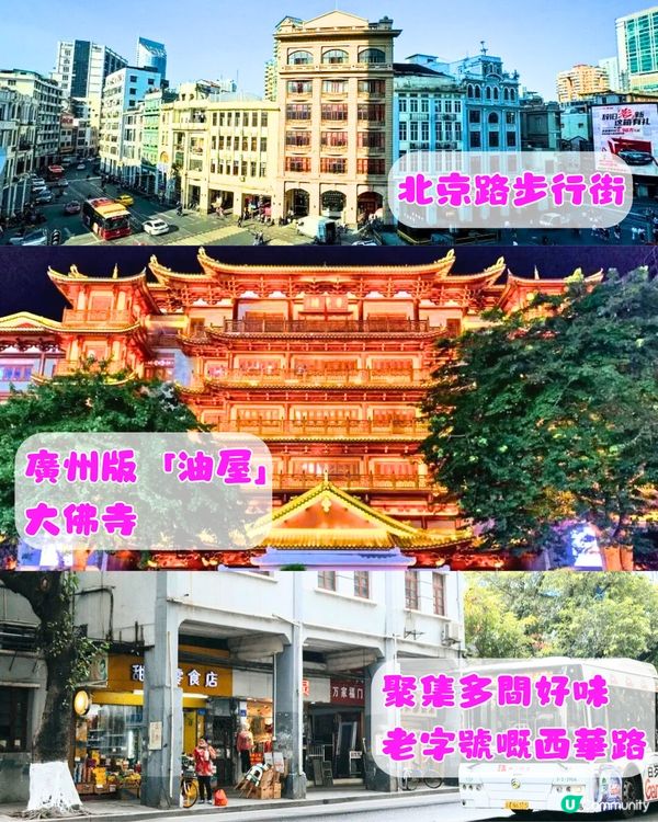 香港高鐵3~4個鐘直達🚄6大周邊好去處🗺️2大購票App+Tips💡