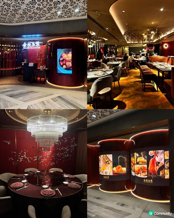 新開高質中菜館🤩  金枝玉葉