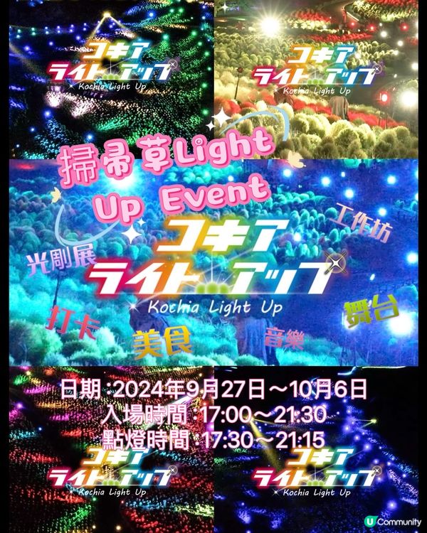 日本浪漫掃帚草Light up Event✨