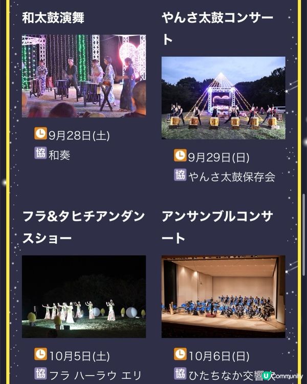 日本浪漫掃帚草Light up Event✨