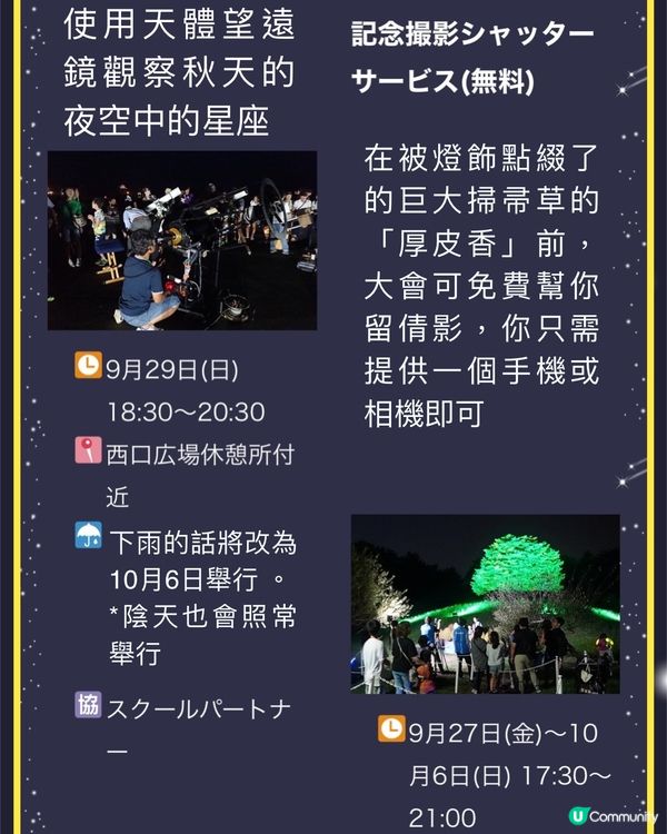 日本浪漫掃帚草Light up Event✨