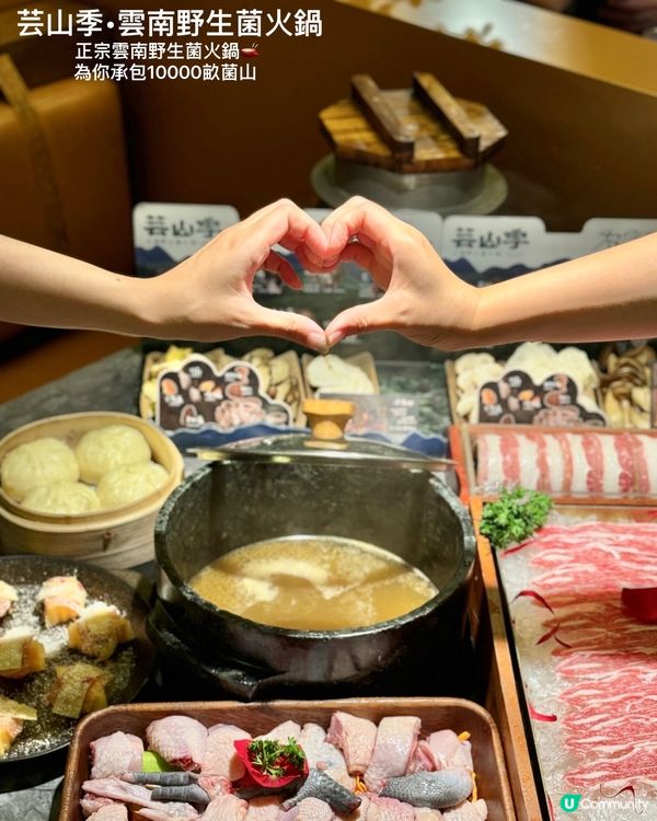 食菌季節到啦！🍄😋 雲南野生菌火鍋，正呀！