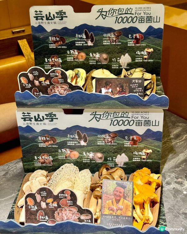 食菌季節到啦！🍄😋 雲南野生菌火鍋，正呀！