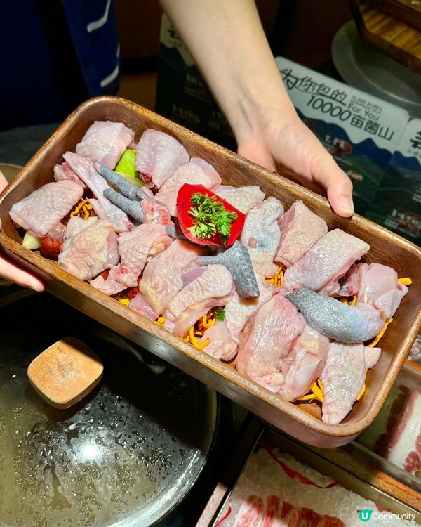 食菌季節到啦！🍄😋 雲南野生菌火鍋，正呀！