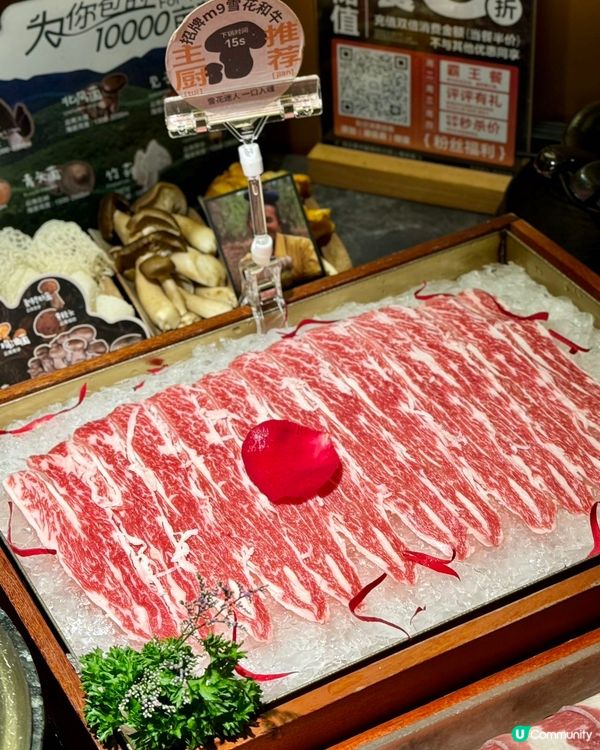 食菌季節到啦！🍄😋 雲南野生菌火鍋，正呀！