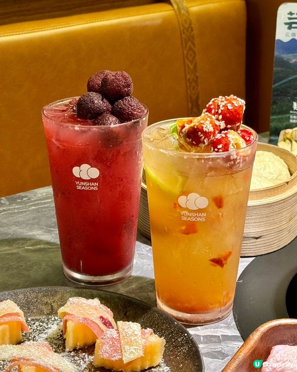 食菌季節到啦！🍄😋 雲南野生菌火鍋，正呀！