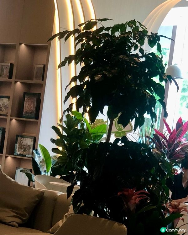 創意節氣咖啡｜桃園咖啡廳好評榜第一｜南博咖啡館