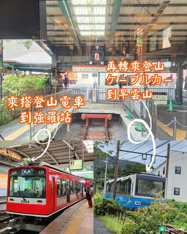 ✨️經典1日遊路線🚄玩轉箱根⛩️附旅行小貼士、交通安排