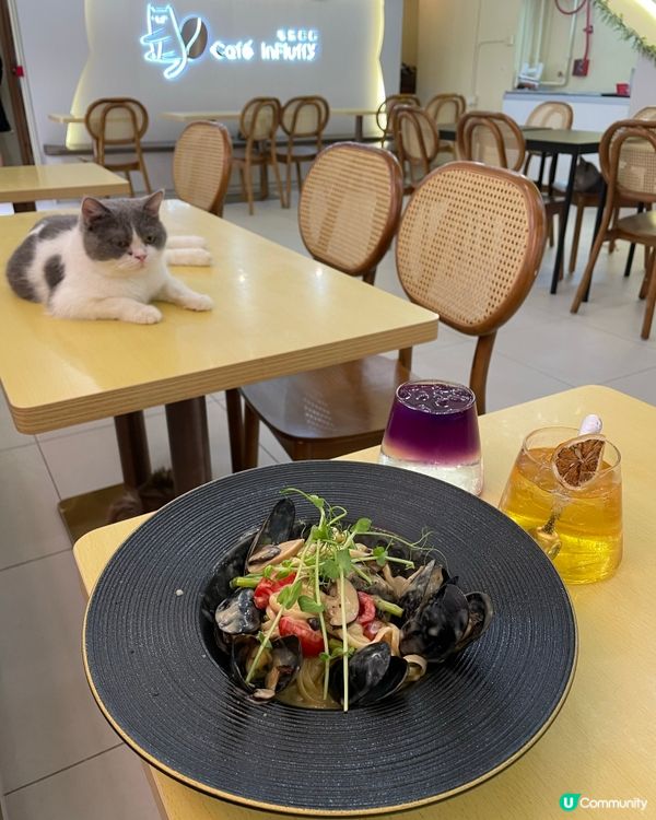 長沙灣貓Cafe 🐱🐾  
玩貓 食嘢 打卡📷