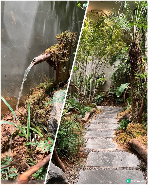 放鬆身心，泰式精油SPA 💆‍♀️  $186抵玩！