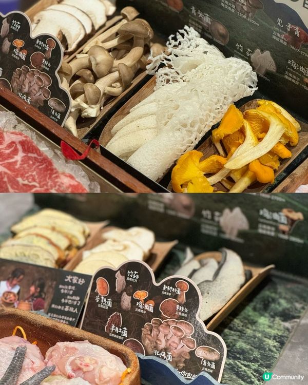 雲南野生菌火鍋🍲食過未呀？