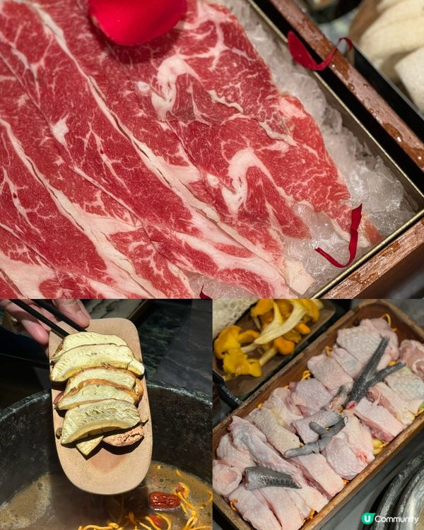 雲南野生菌火鍋🍲食過未呀？