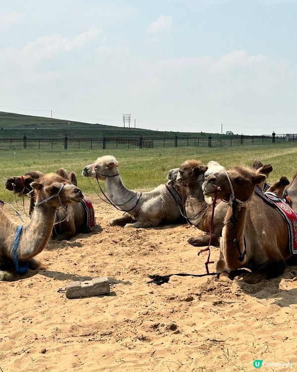  【蒙古國行程】