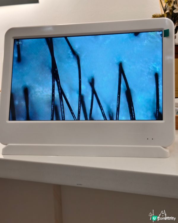 新開頭療店 《皇庭廣場》