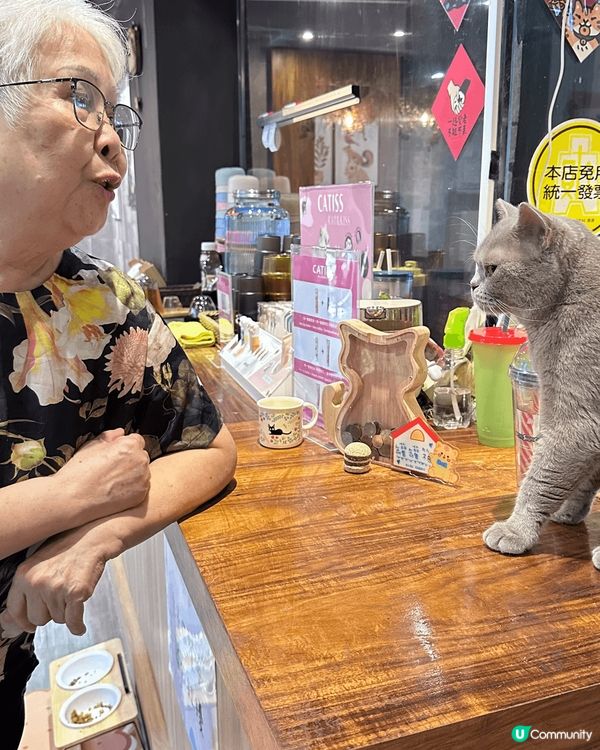 一間肉球森林餐廳 入面有大嘴鳥 ?猫 狐獴 好可愛加上食物都...