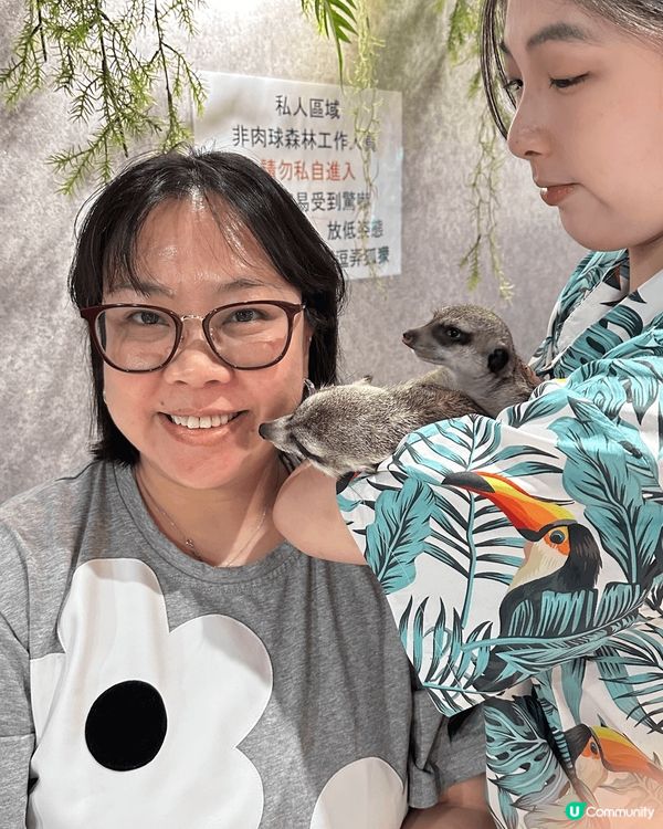 一間肉球森林餐廳 入面有大嘴鳥 ?猫 狐獴 好可愛加上食物都...