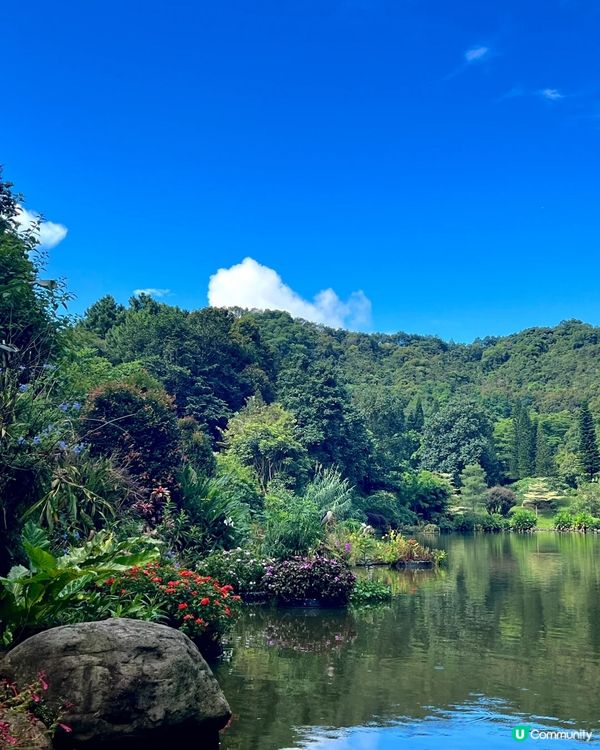 絕美隱世深圳後花園 一日遊全攻略