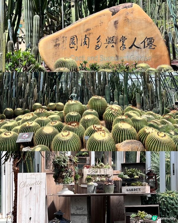 絕美隱世深圳後花園 一日遊全攻略