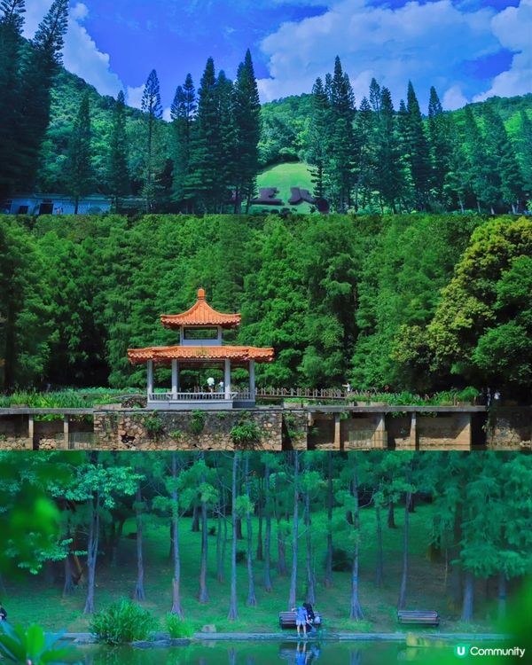 絕美隱世深圳後花園 一日遊全攻略