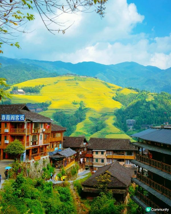 龍脊梯田 — 世界梯田之冠🏆