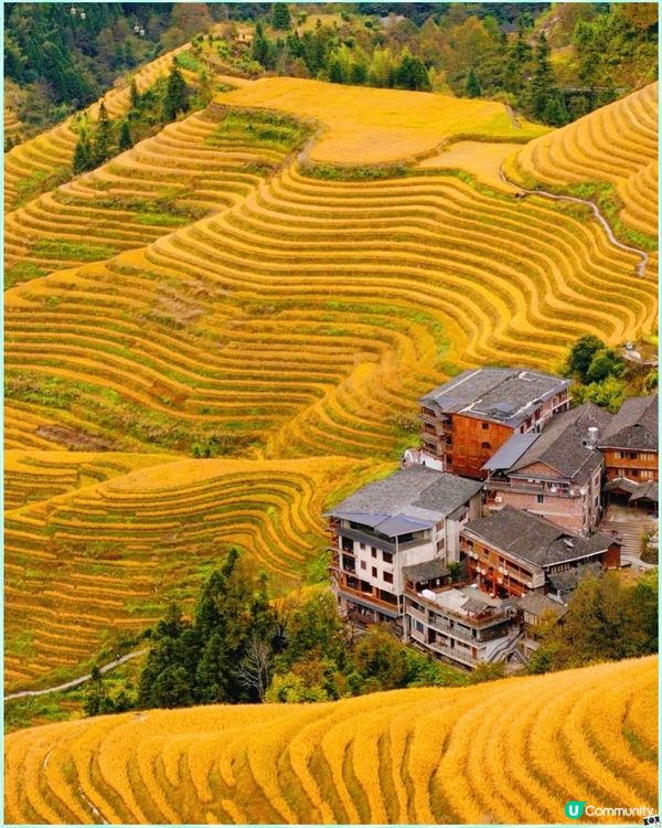 龍脊梯田 — 世界梯田之冠🏆