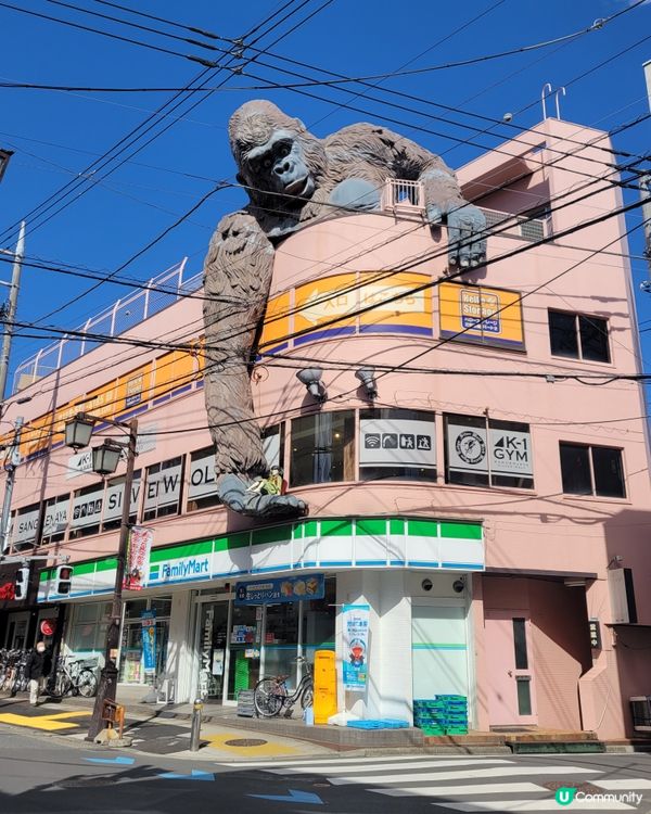 世田谷區大猩猩