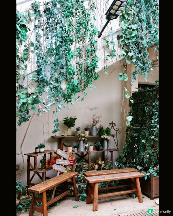 Timeless Cafe 大自然文青打卡Café ☕️
