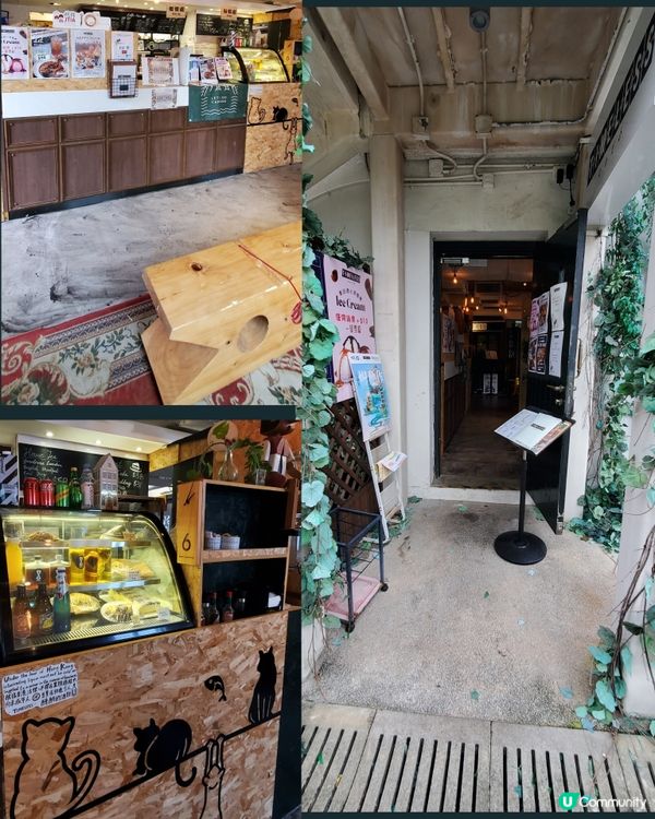 Timeless Cafe 大自然文青打卡Café ☕️
