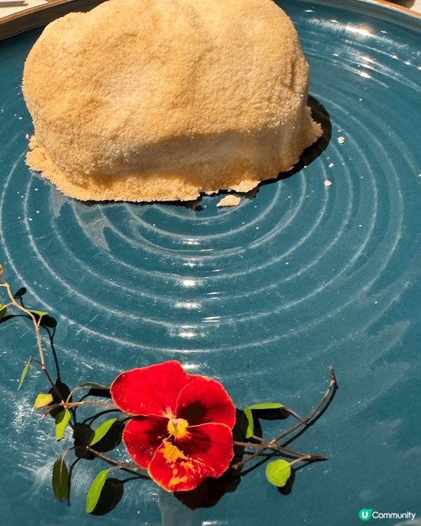 ✨✨最鮮不過六月黃✨✨