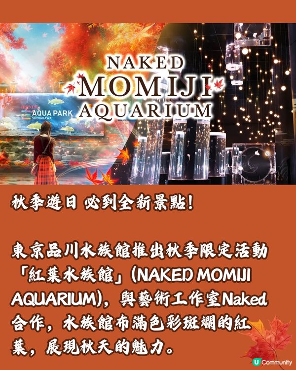 日本秋季最新必到🍁東京紅葉水族館‼️沉浸式體驗6大活動🤎附票價