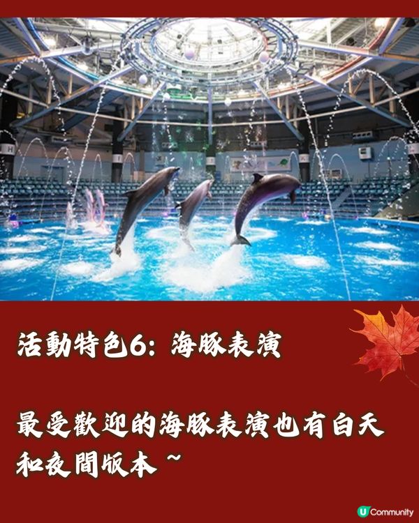 日本秋季最新必到🍁東京紅葉水族館‼️沉浸式體驗6大活動🤎附票價