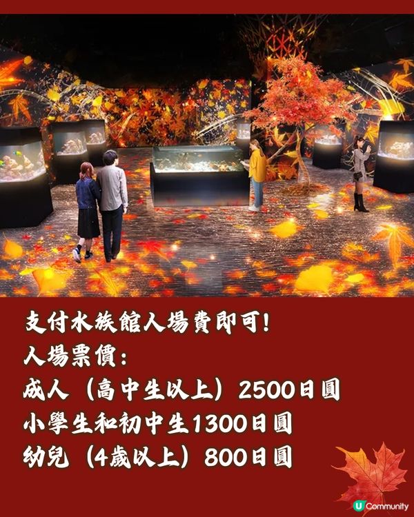 日本秋季最新必到🍁東京紅葉水族館‼️沉浸式體驗6大活動🤎附票價