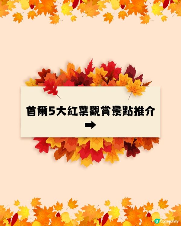 韓國紅葉2024｜韓國紅葉預測2024🍁附首爾5大觀賞景點推介+交通教學🚗