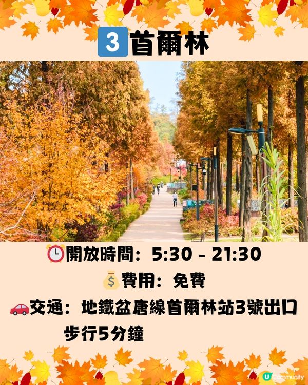 韓國紅葉2024｜韓國紅葉預測2024🍁附首爾5大觀賞景點推介+交通教學🚗