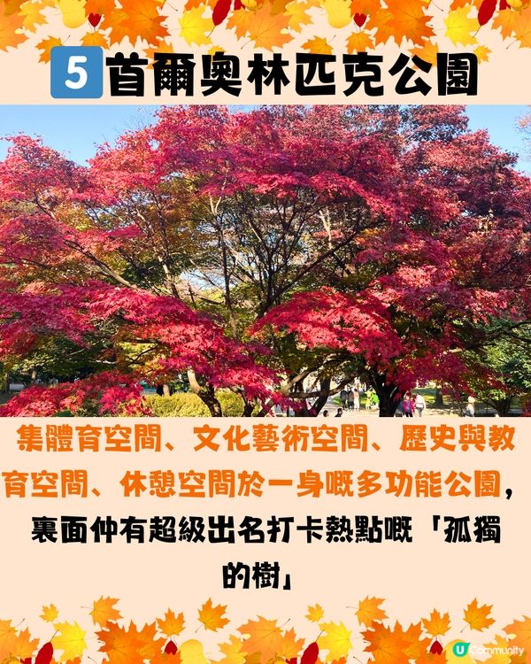 韓國紅葉2024｜韓國紅葉預測2024🍁附首爾5大觀賞景點推介+交通教學🚗