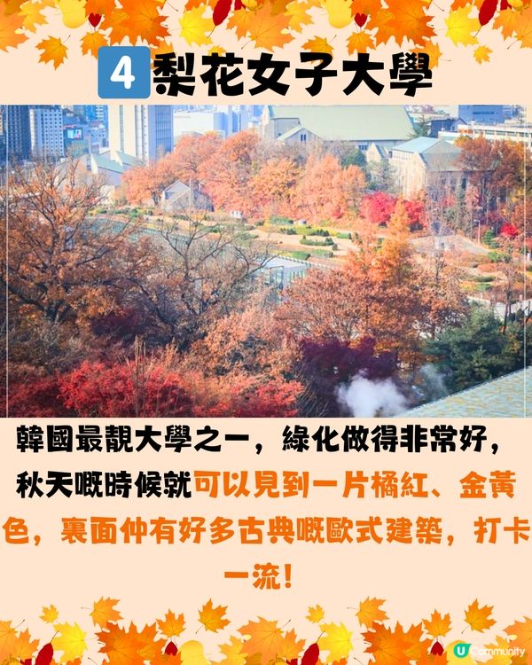 韓國紅葉2024｜韓國紅葉預測2024🍁附首爾5大觀賞景點推介+交通教學🚗