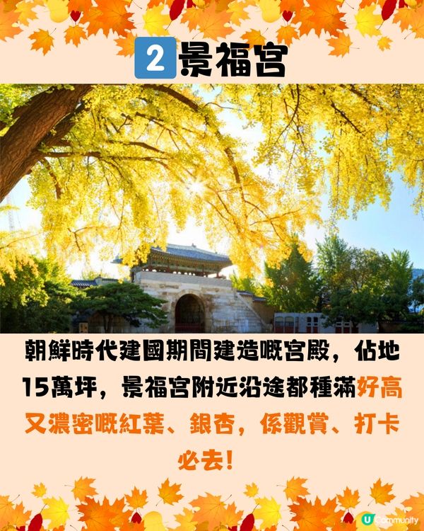 韓國紅葉2024｜韓國紅葉預測2024🍁附首爾5大觀賞景點推介+交通教學🚗