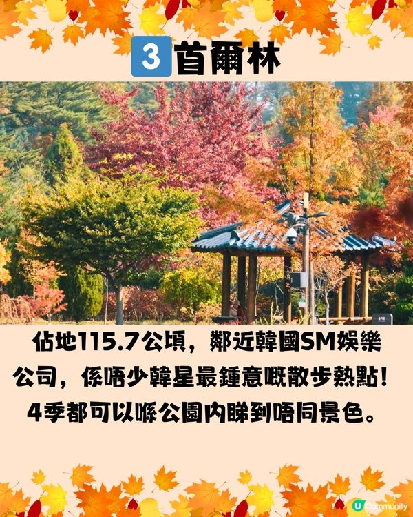 韓國紅葉2024｜韓國紅葉預測2024🍁附首爾5大觀賞景點推介+交通教學🚗