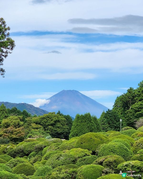 箱根⛩️小田急山之酒店一泊兩食｜可望到富士山😍同蘆之湖🏞