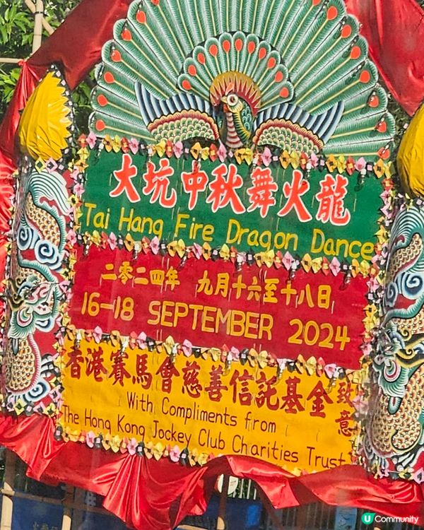 大坑舞火龍籌備中