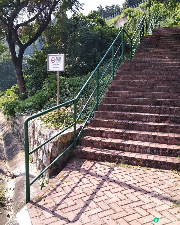
澳門大潭山郊野公園,有香港人未玩過嘅人造草滑草場