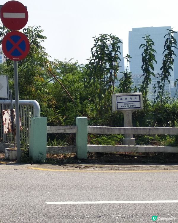 
澳門大潭山郊野公園,有香港人未玩過嘅人造草滑草場