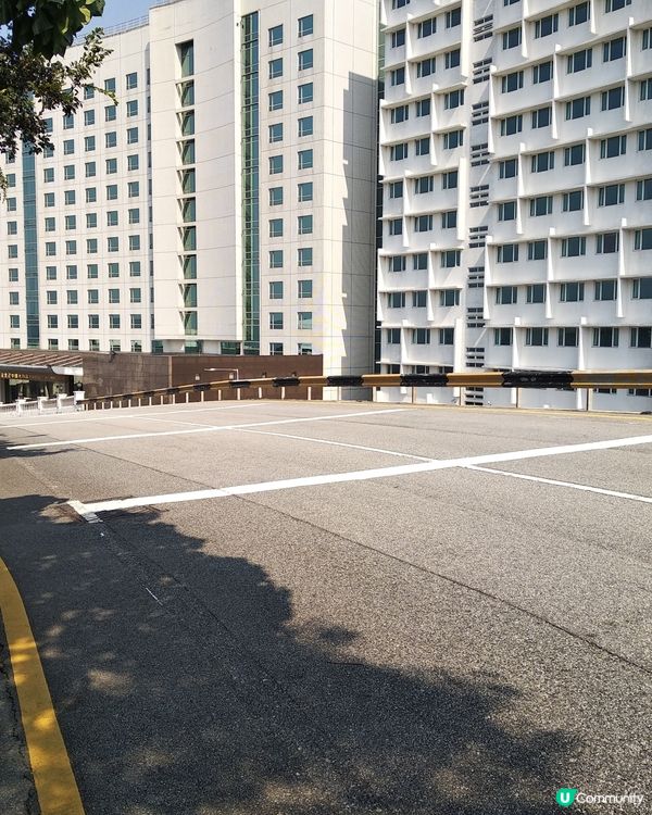 
澳門大潭山郊野公園,有香港人未玩過嘅人造草滑草場