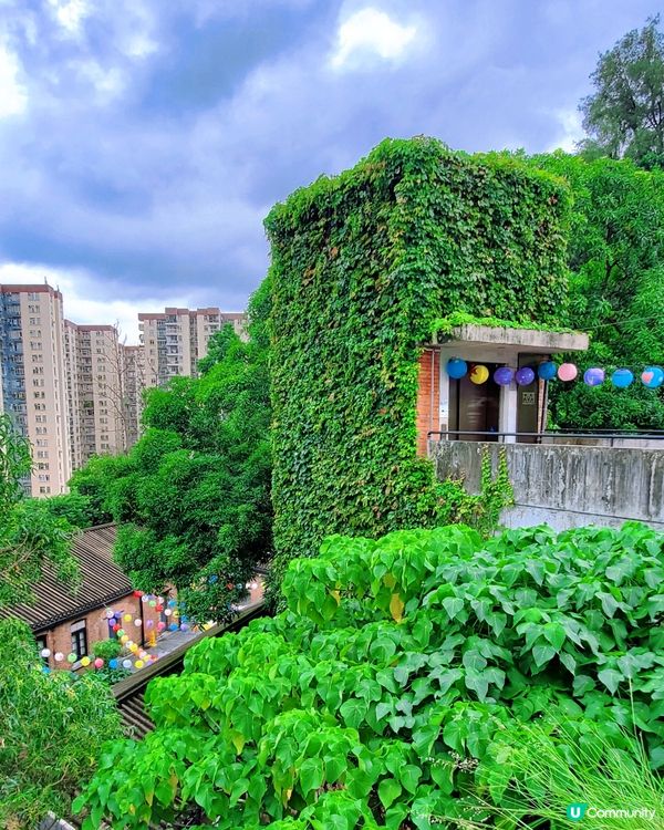 饒宗頤文化館 🏮中秋手繪藝術花燈籠🏮

