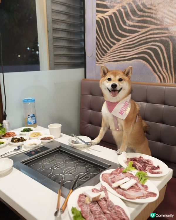 同狗狗一齊去食韓國燒肉
