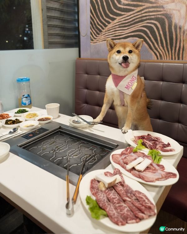同狗狗一齊去食韓國燒肉
