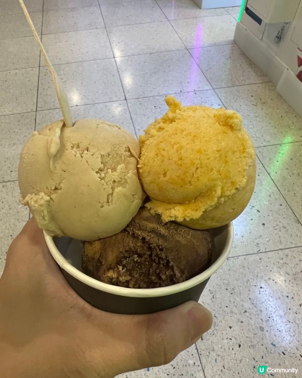多款味道又好食嘅雪糕🍦小店！