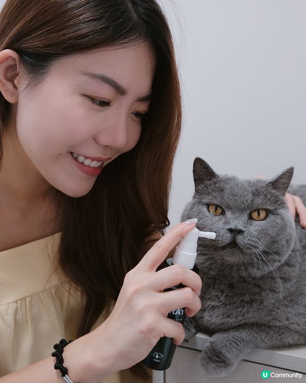 貓奴必備🐱