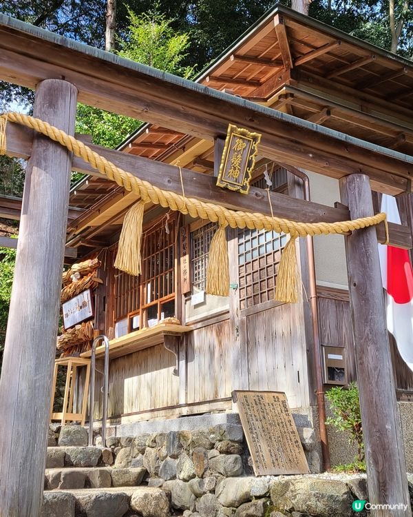 嵐山好去處✨️｜打卡竹林小徑🎋、地道豆腐料理🍱